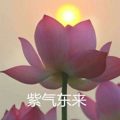 纽约期金跌超3.7% 现货白银涨2%